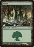 5-forest.jpg