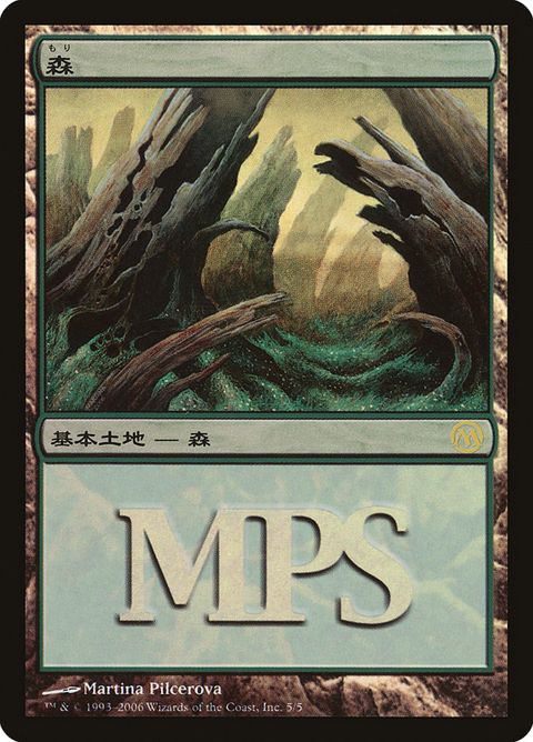 5-forest.jpg