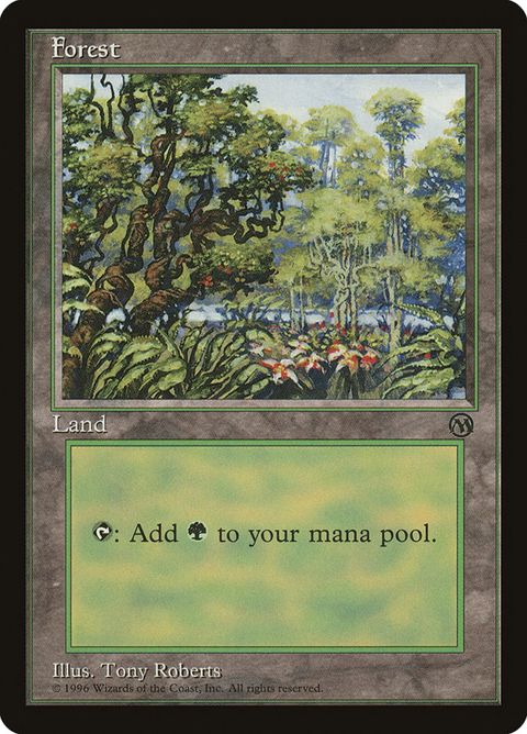 5-forest.jpg