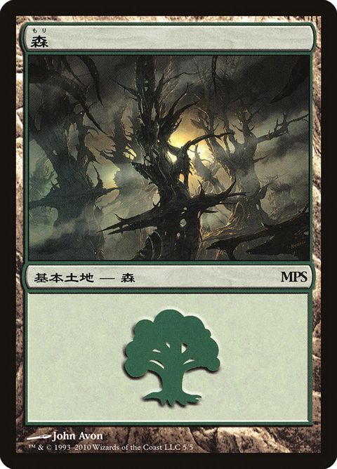 5-forest.jpg
