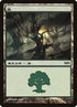 5-forest.jpg