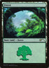 5-forest.jpg