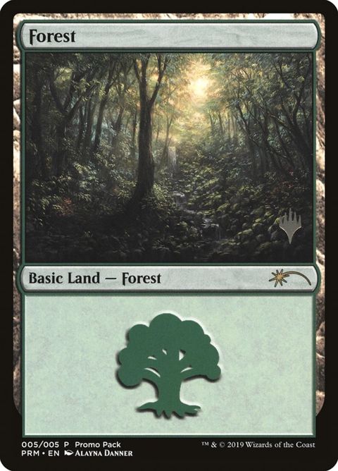 5-forest.jpg