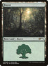 5-forest.jpg