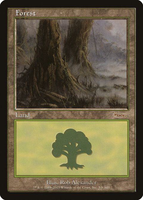 5-forest.jpg