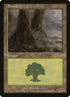 5-forest.jpg