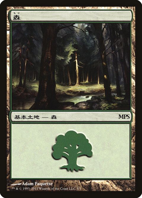 5-forest.jpg