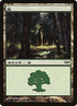 5-forest.jpg
