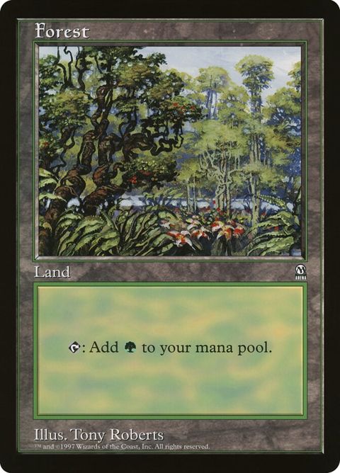 5-forest.jpg
