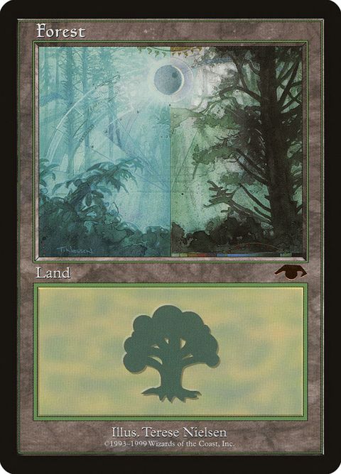 5-forest.jpg