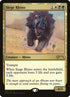 5-siegerhino.jpg