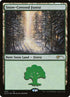 5-snowcoveredforest