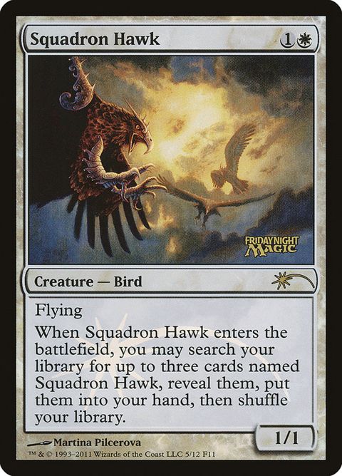 5-squadronhawk.jpg