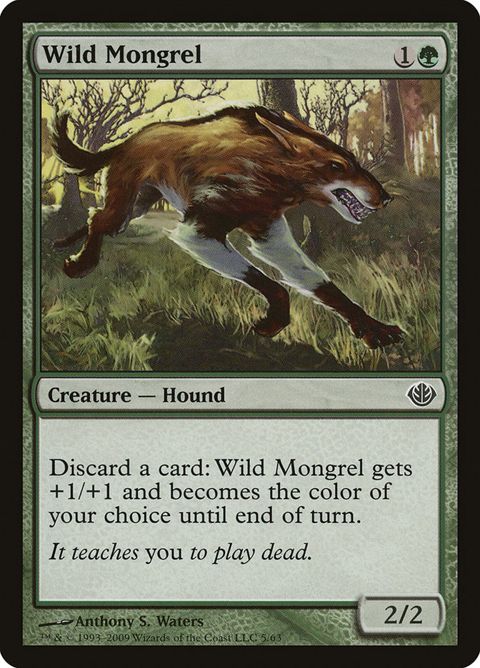 5-wildmongrel.jpg