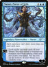 508-narsetparterofveils