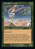 509-shanodindryads.jpg