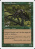 51-pincherbeetles.jpg