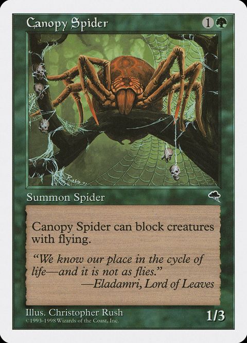 52-canopyspider.jpg