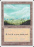 53-plains.jpg
