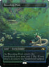 537-breedingpool.jpg