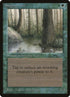 54-singingtree.jpg
