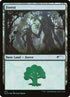 572-forest