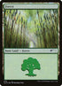 579-forest