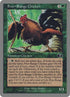 58-freerangechicken.jpg