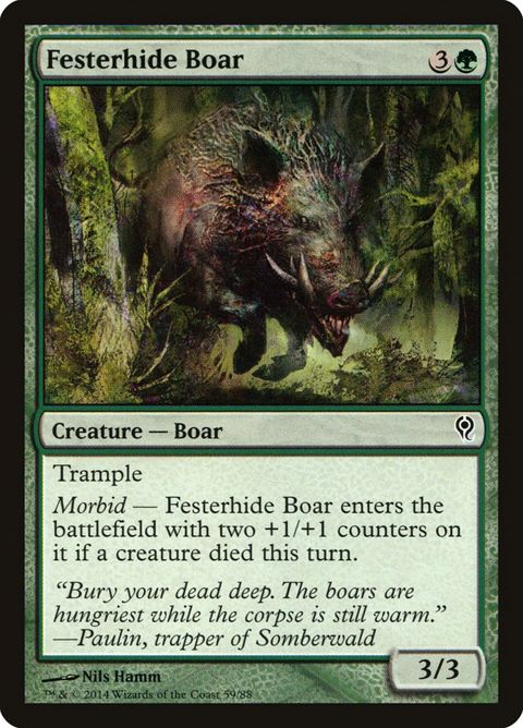 59-festerhideboar.jpg