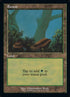 592-forest.jpg