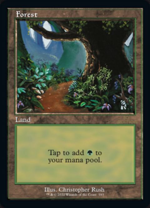 593-forest.jpg
