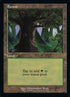 594-forest.jpg