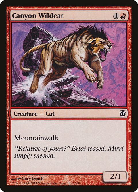 6-canyonwildcat.jpg