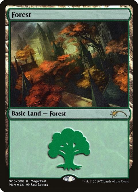 6-forest.jpg