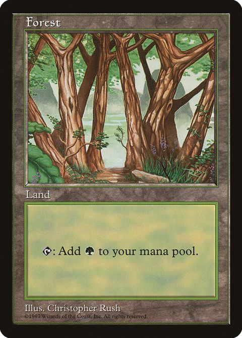 6-forest.jpg