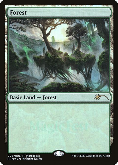 6-forest.jpg