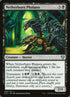 6-netherbornphalanx.jpg
