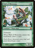 6-wallofblossoms.jpg