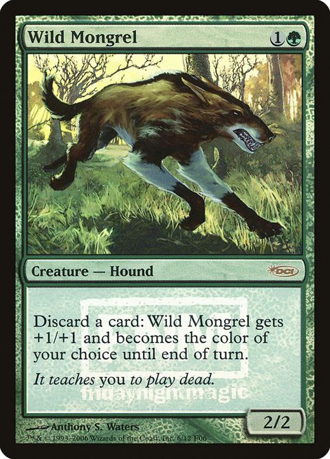 6-wildmongrel.jpg