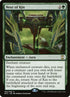 62p-nextofkin.jpg