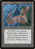 63-flyingcarpet.jpg