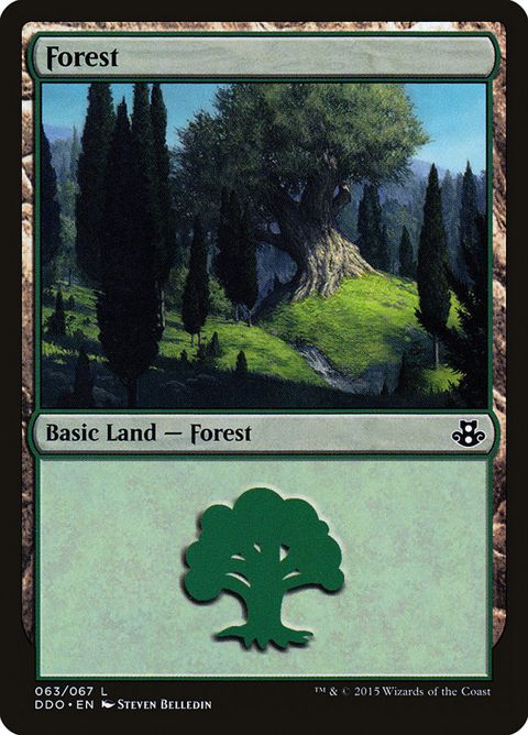 63-forest.jpg