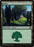 63-forest.jpg