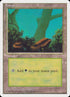 63-forest.jpg