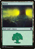 63-forest.jpg