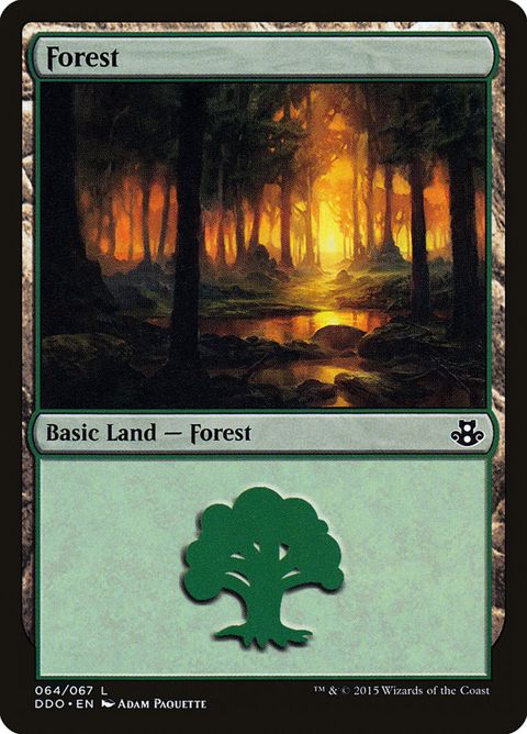 64-forest.jpg