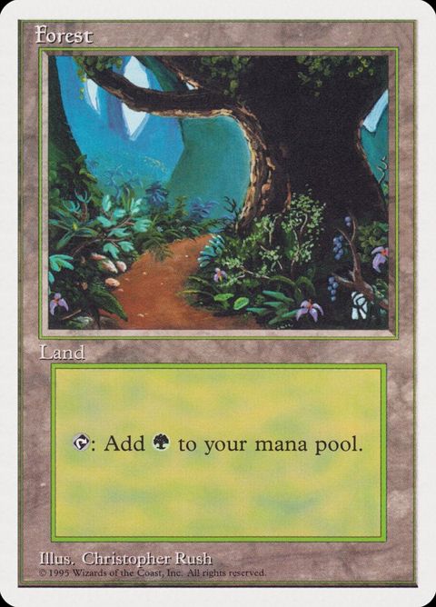 64-forest.jpg