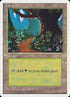 64-forest.jpg