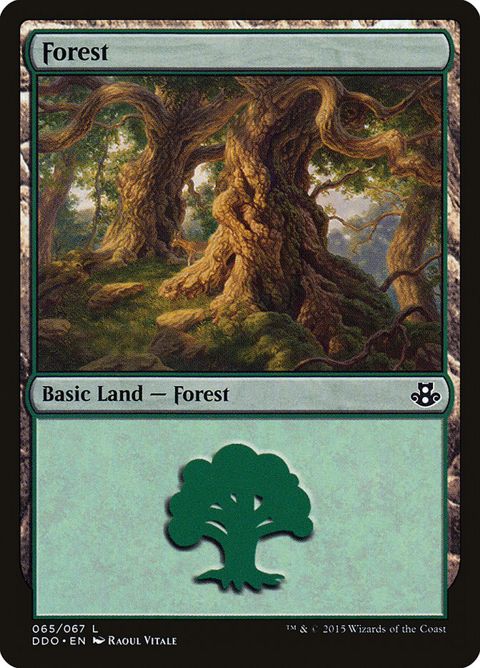 65-forest.jpg