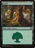 65-forest.jpg